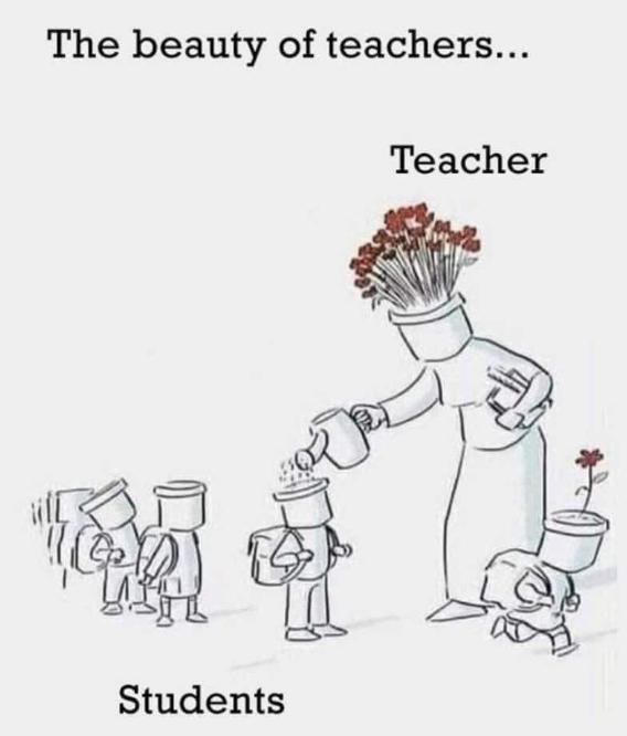 The Beauty of Teachers-Stumbit Education